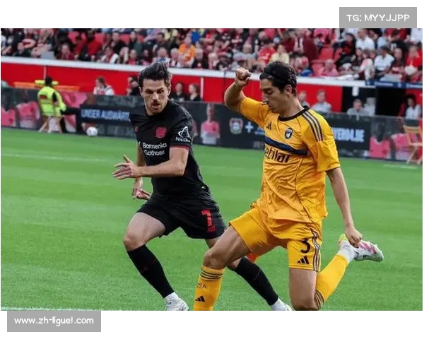 勒沃库森主场攻防体系成熟，霍芬海姆客场难破僵局